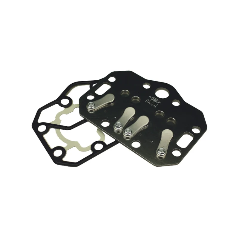 Ventilplatte 304055-01 Bitzer
