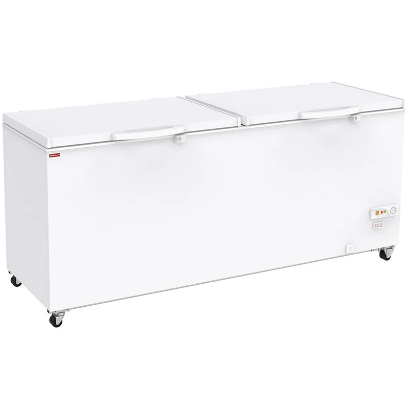 Gastro Tiefkühltruhe 655 L mit 2 Klappdeckeln & Schloss, SCO66-C6