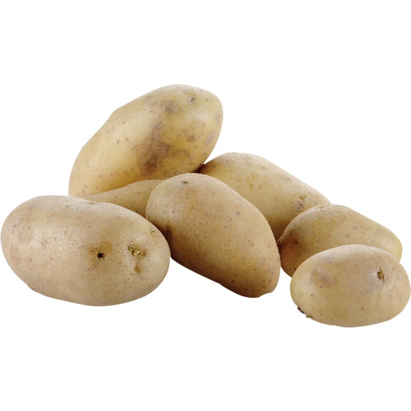 Profi Kartoffelschälmaschine , 10 kg , Standgerät, PPF-10
