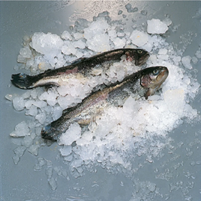 Scherbeneisbereiter 400 kg , luftgekühlt , ohne Vorratsbehälter, ICE400ISW