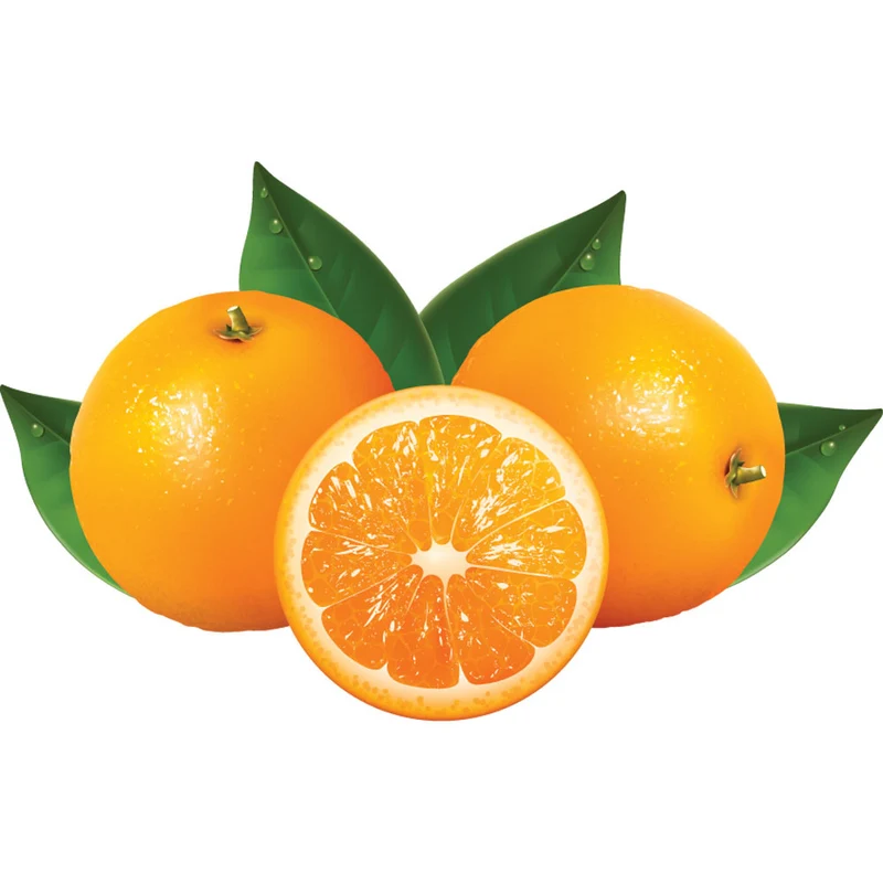 Professionelle Orangenpresse mit Kühlung und fahrbarem Unterbau, ASD/M-FR
