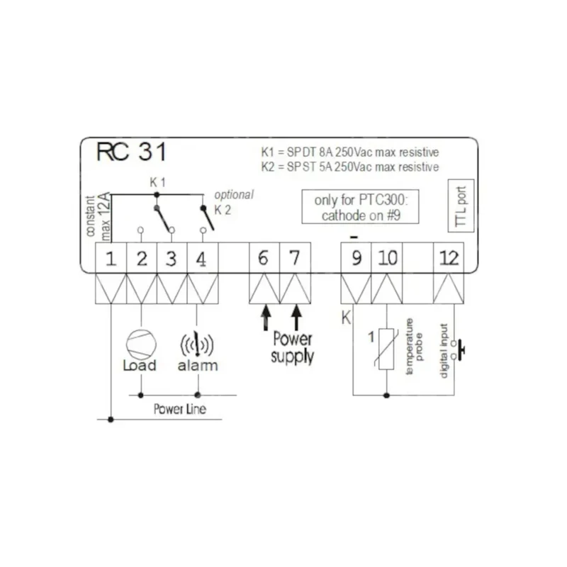 RC31-6004-16A-DI-II 9-24V Beta