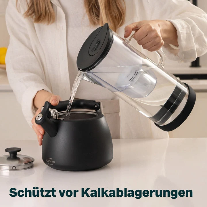 B-Ware SILBERTHAL Wasser Filterkanne Glas Wasserfilter Kartusche Wasserfilter Kalk
